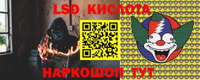 дмт Шелехов