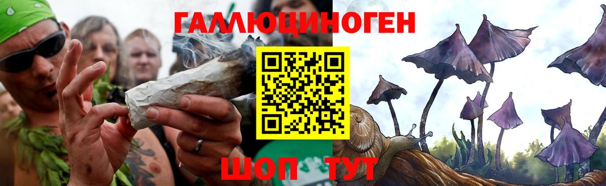 Галлюциногенные грибы мицелий Саки