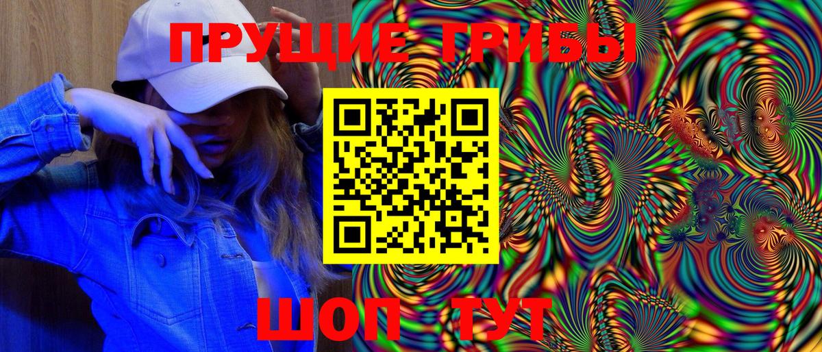 Псилоцибиновые грибы Psilocybine cubensis  Вход с VPN  Саки  Галлюциногенные грибы Cubensis 